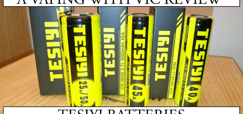 Tesiyi Batteries Review